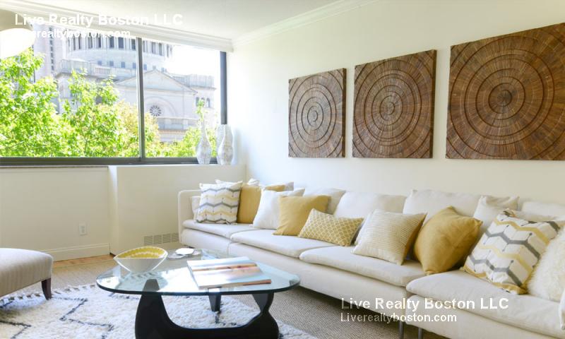 1 bed, 1 bath apartment for rent at 221 Massachusetts Ave Unit CLARENDON OPEN, Boston