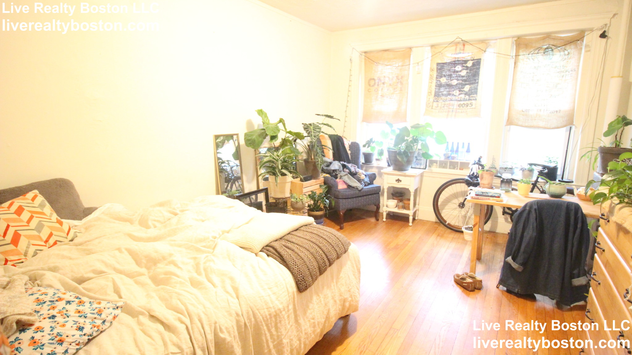 123 Sutherland Rd, Brighton