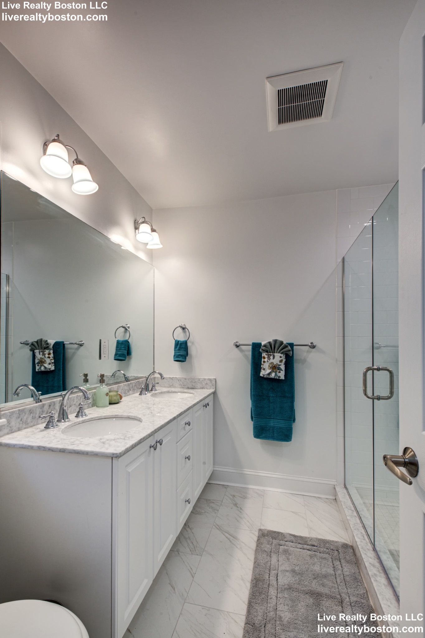 141 Independence Dr, Chestnut Hill