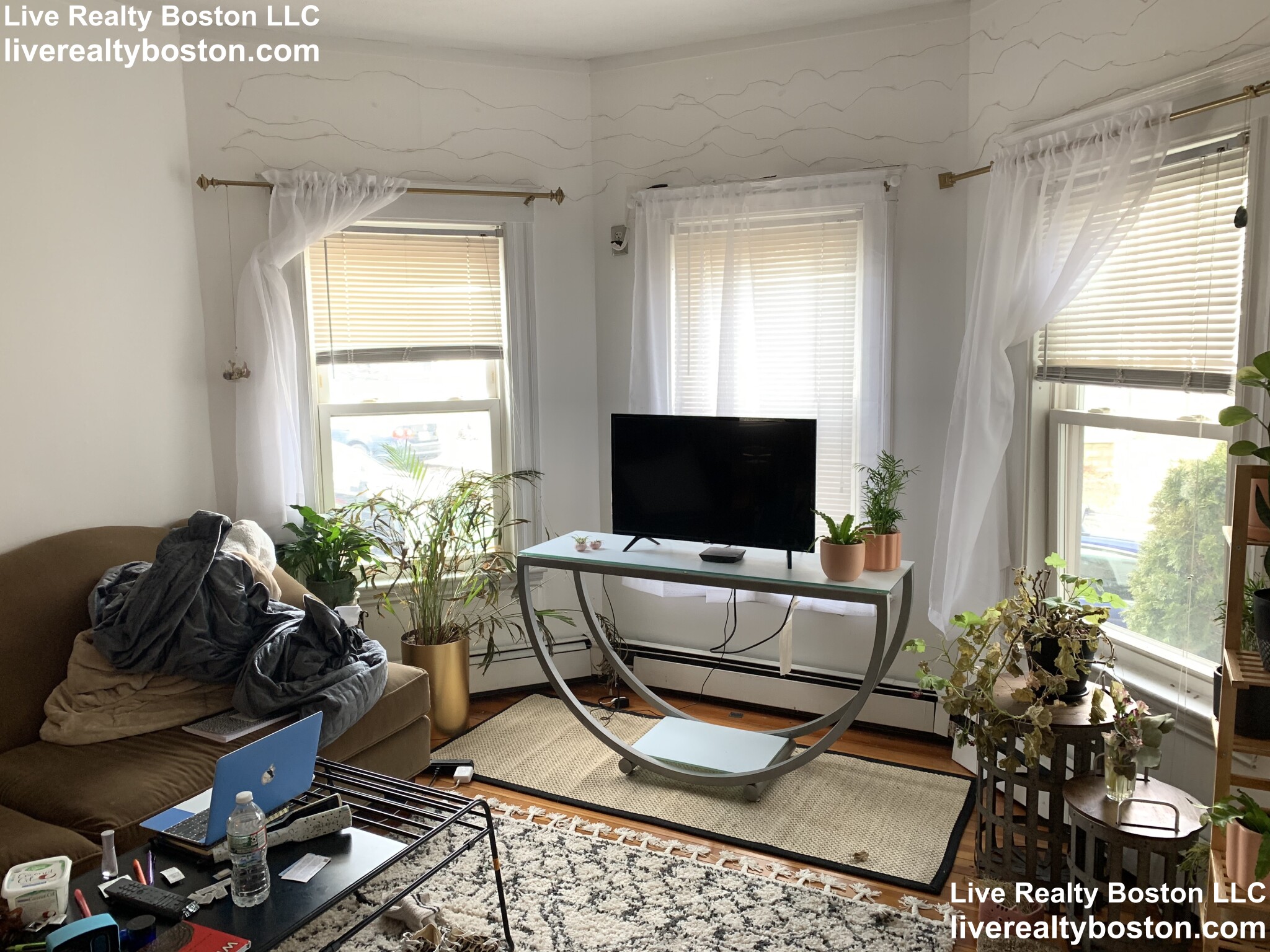 26 Burget Ave, Medford