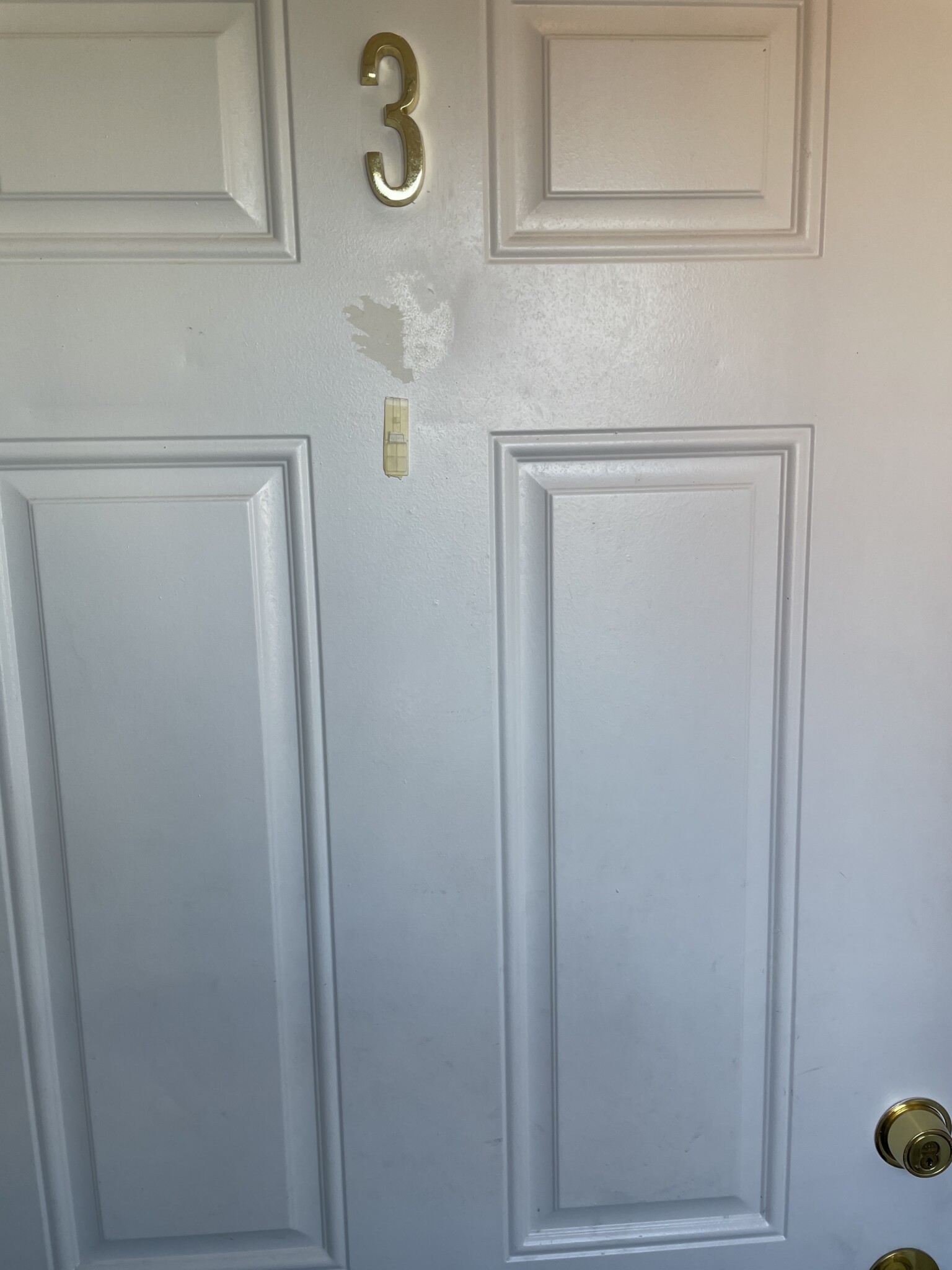 58 Mansfield, Allston