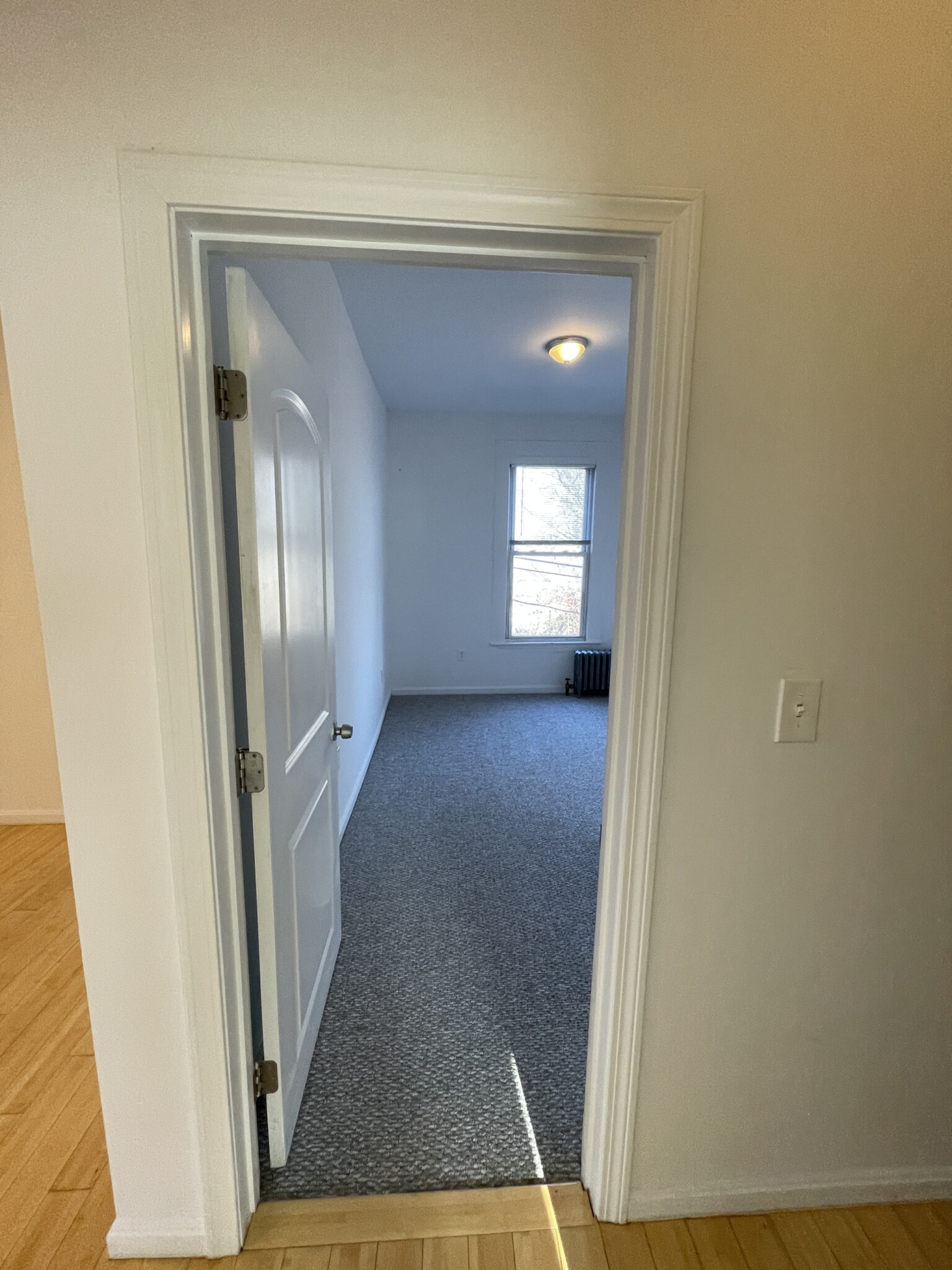 4 bed, 1 bath apartment for rent at 40 Newton St Unit 2, Brighton — photo 6 of 17