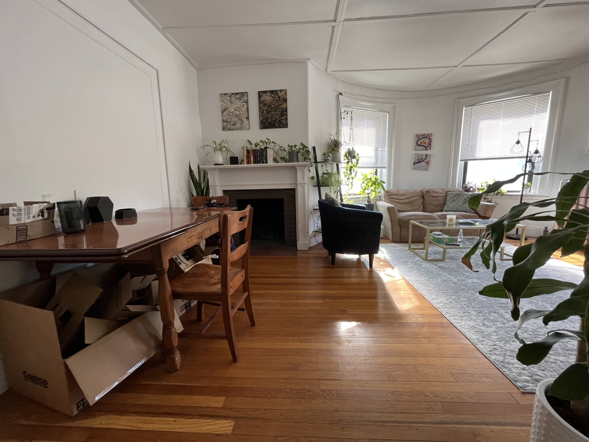 1462 Commonwealth, Brighton