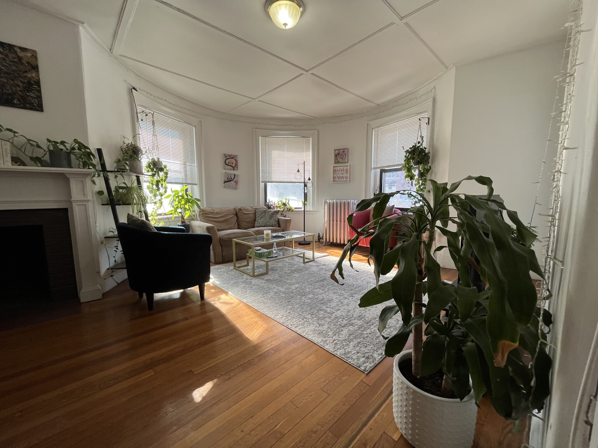 1462 Commonwealth, Brighton