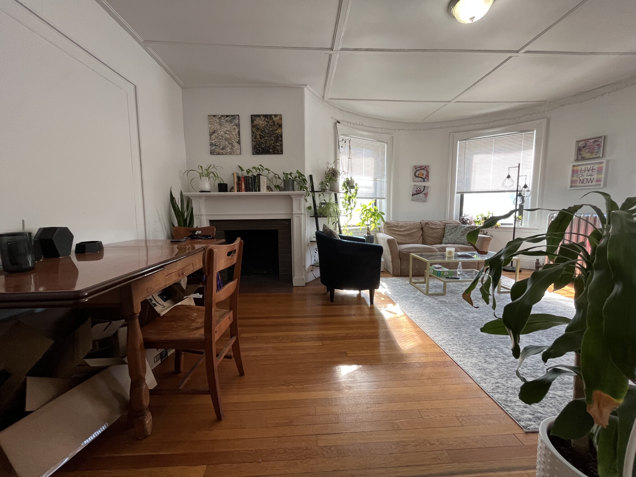 1462 Commonwealth, Brighton