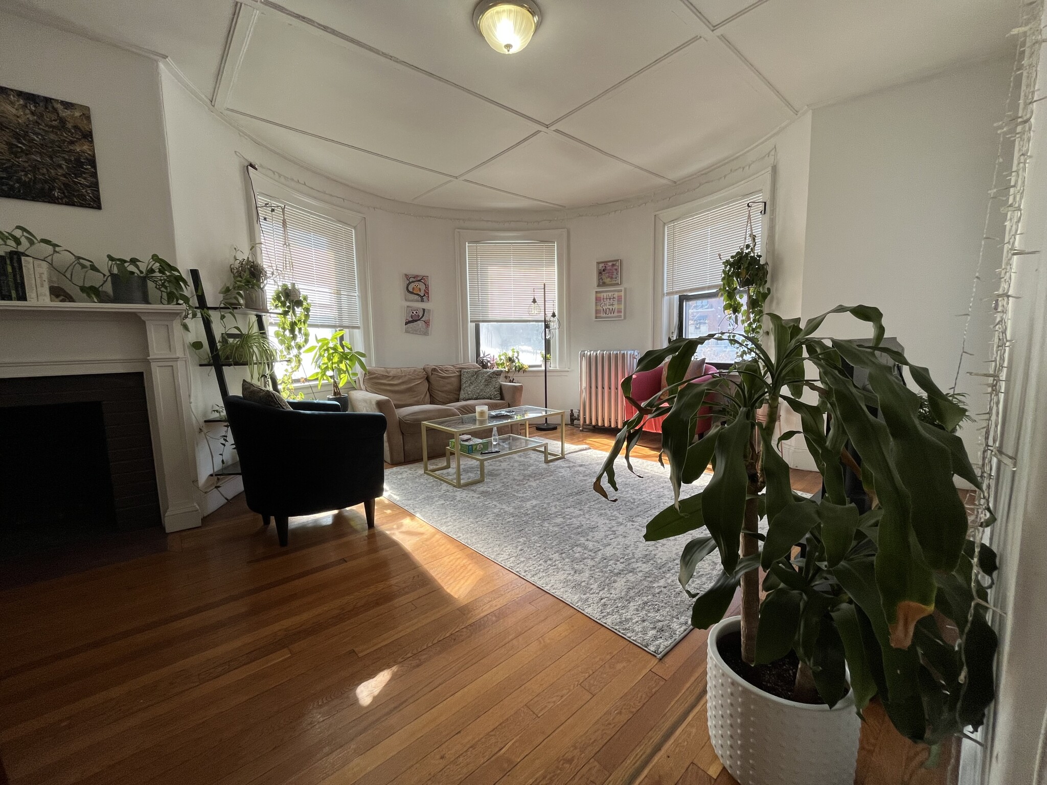 1462 Commonwealth, Brighton