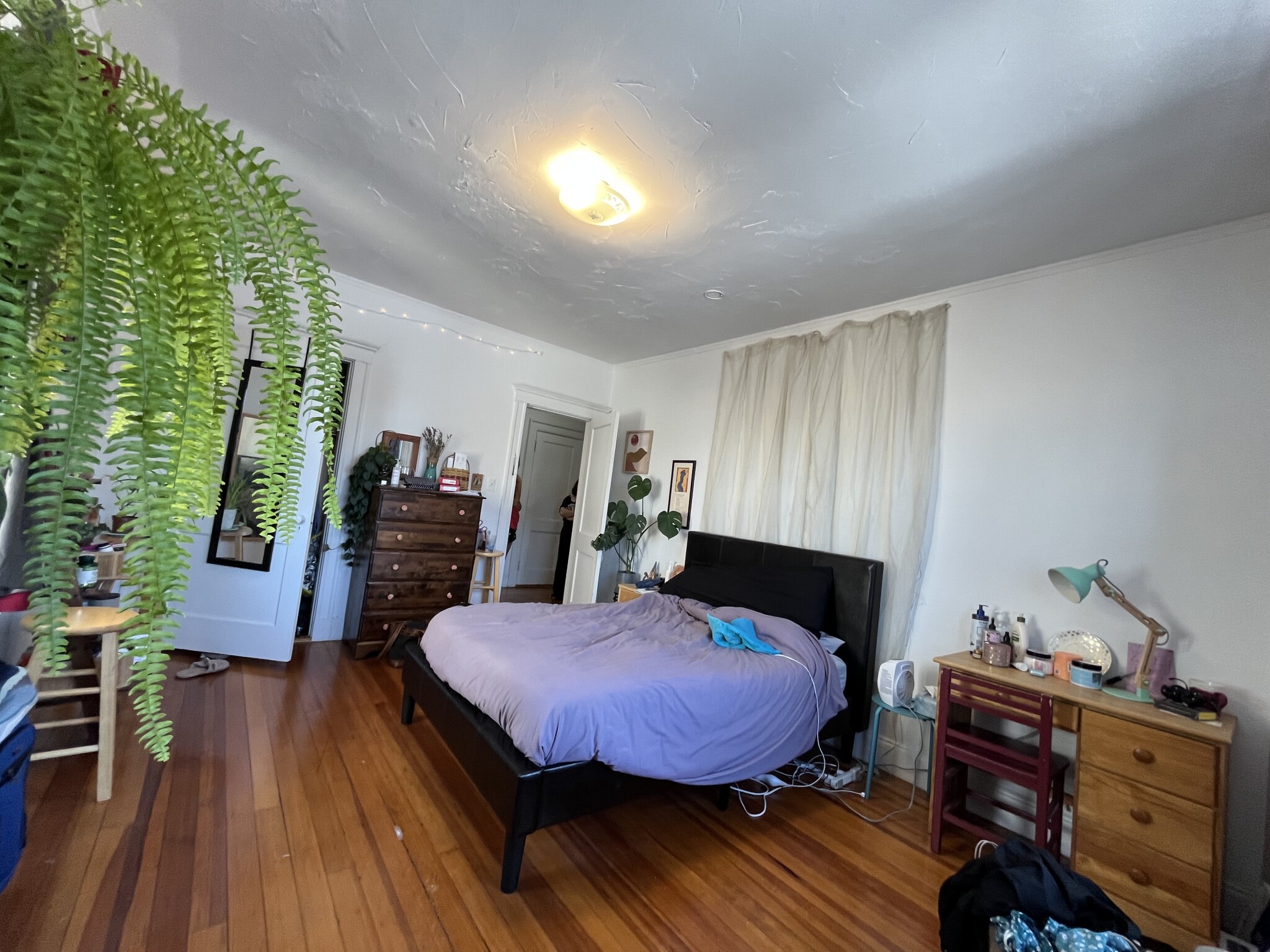 1462 Commonwealth, Brighton