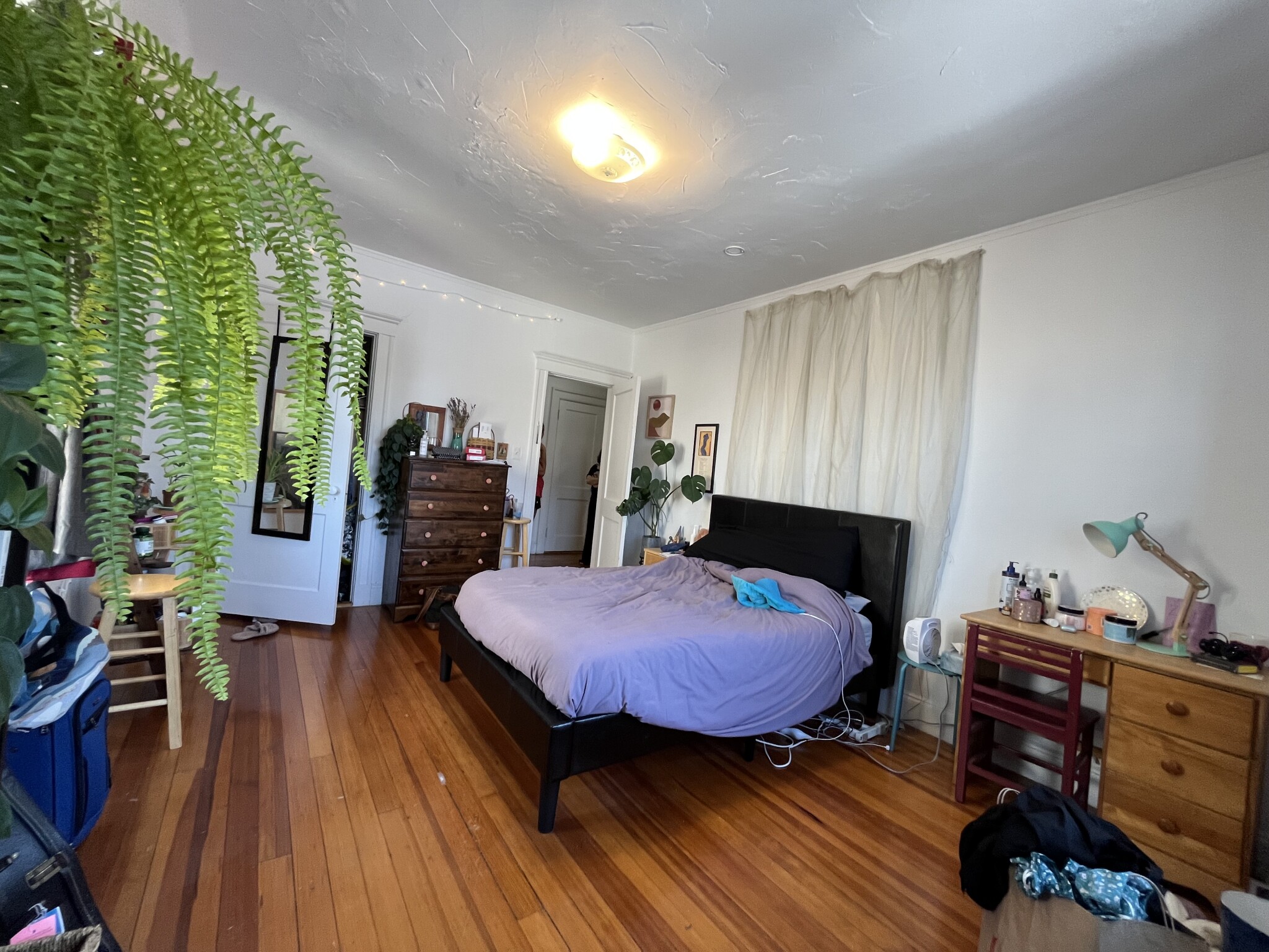 1462 Commonwealth, Brighton