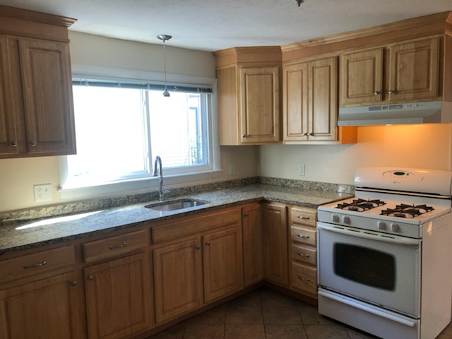 11 Skehan St, Spring Hill