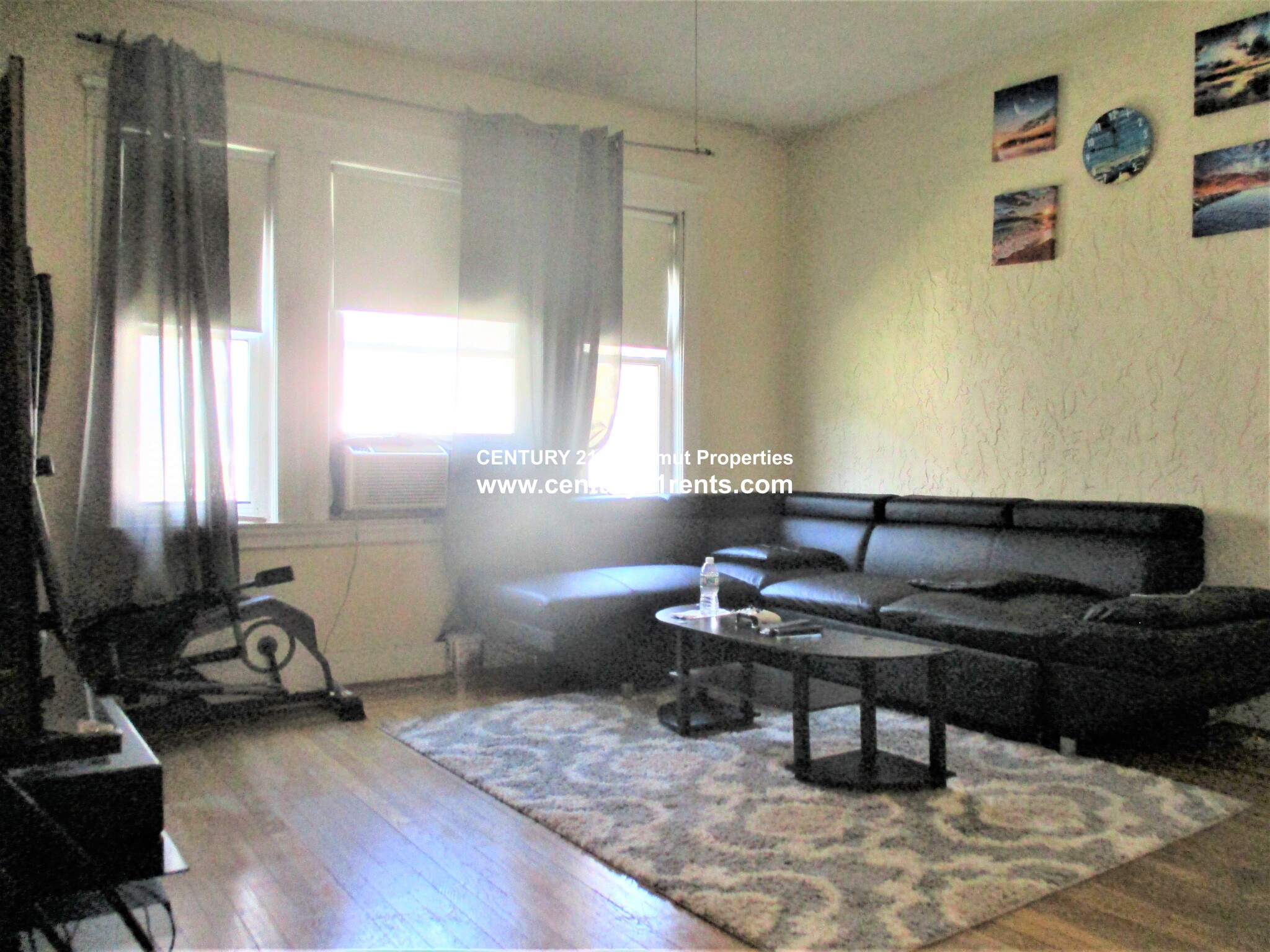 3 Cufflin St, Brighton