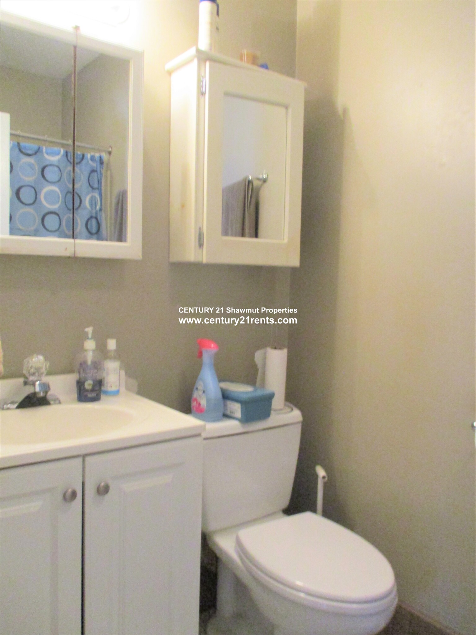 3 Cufflin St, Brighton