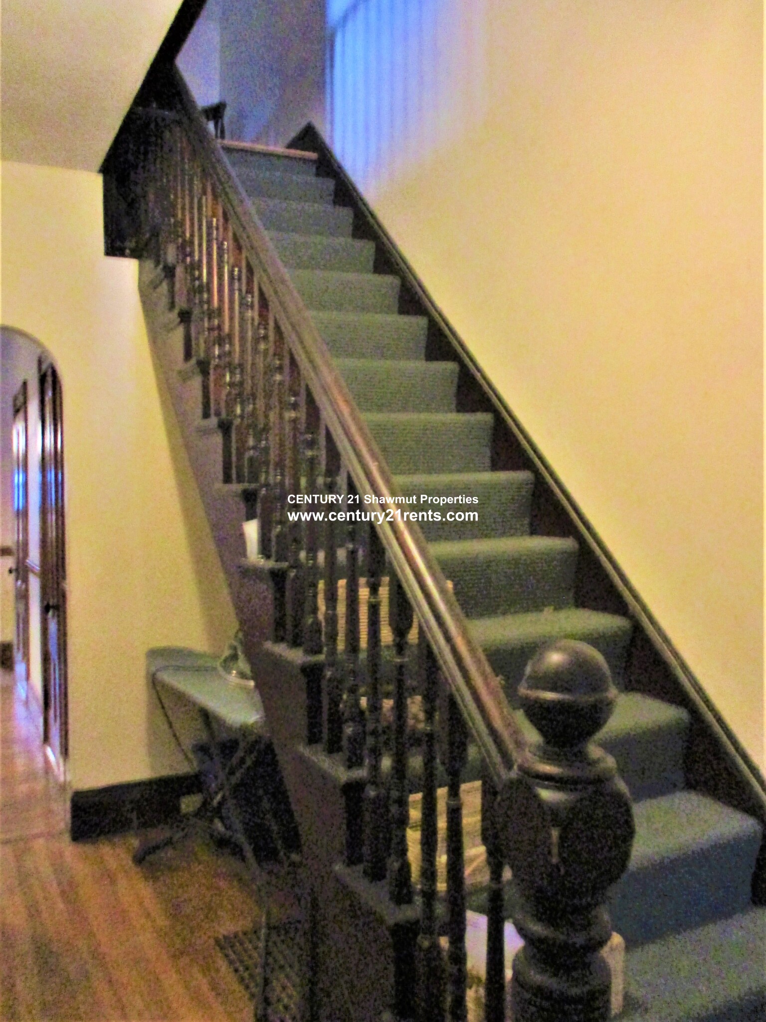 159 Foster St, Brighton