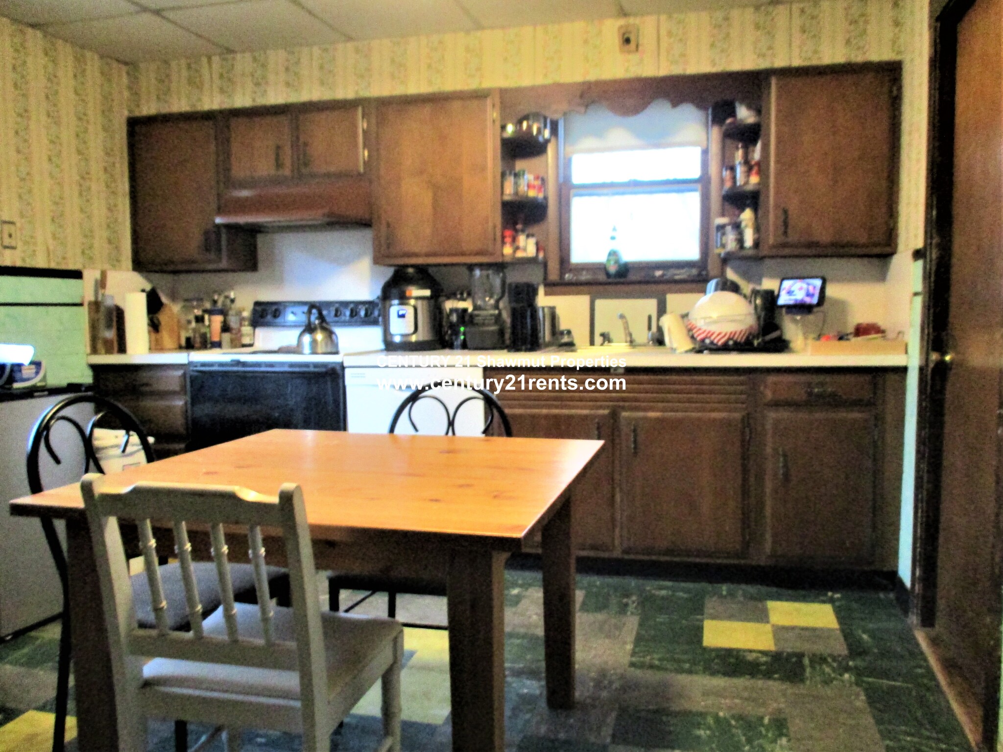 159 Foster St, Brighton