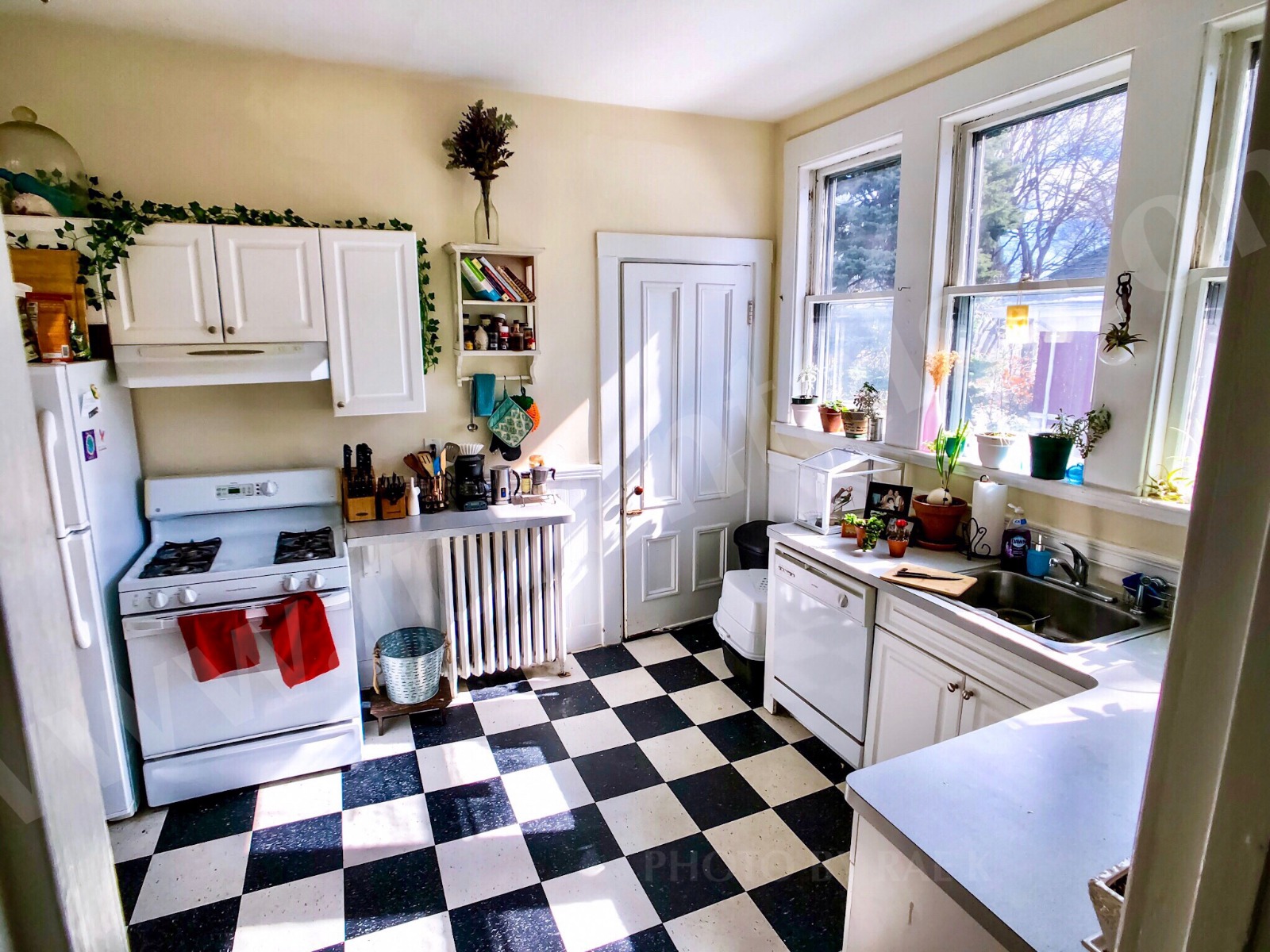 49 Burroughs St, Jamaica Plain