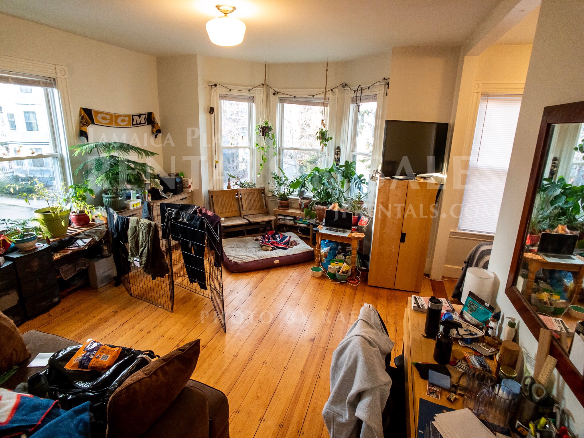 4 bed, 2 bath apartment for rent at 40 Custer St Unit 2, Jamaica Plain — photo 9 of 13