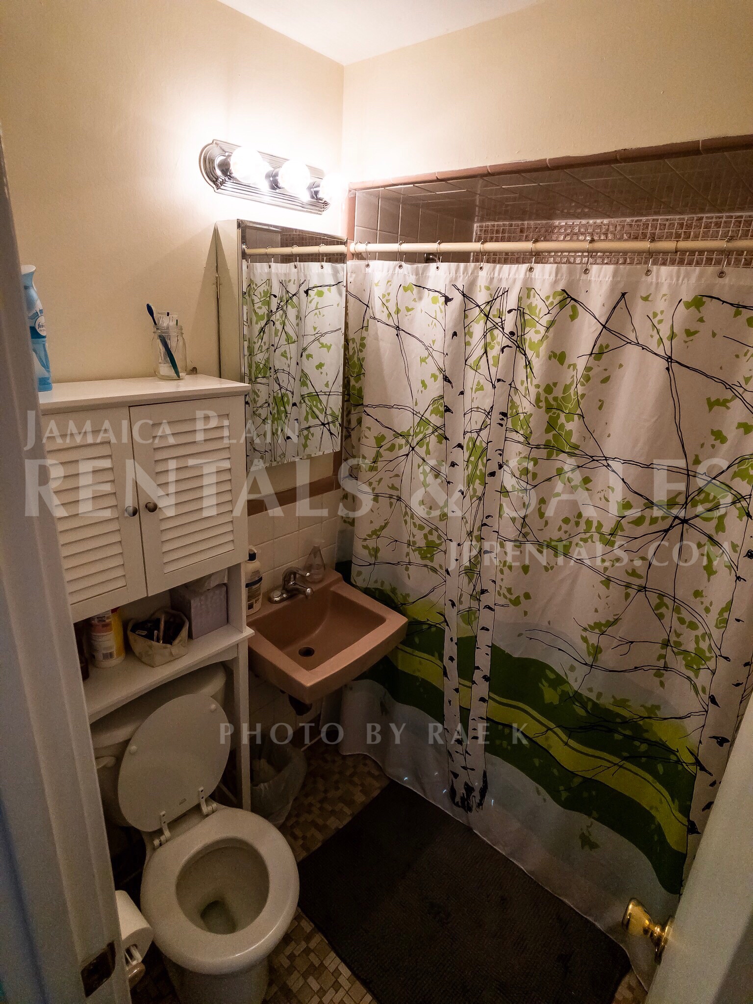 2 bed, 1 bath apartment for rent at 594 Centre St Unit 10, Jamaica Plain — photo 9 of 14