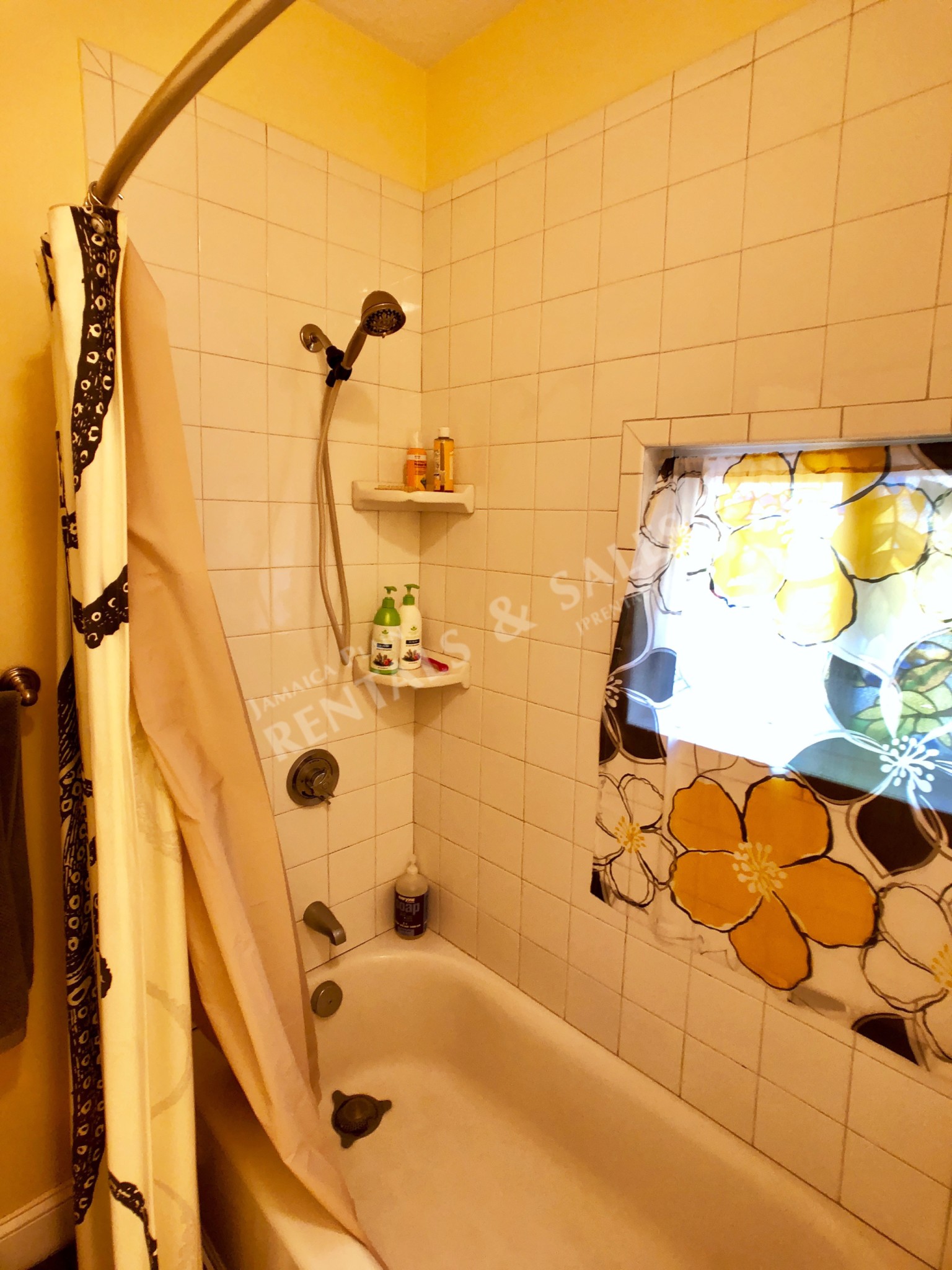 24 Spring Park Ave, Jamaica Plain