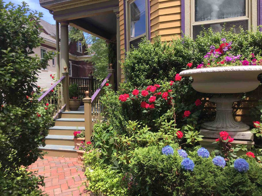 6 Oakview Ter, Jamaica Plain