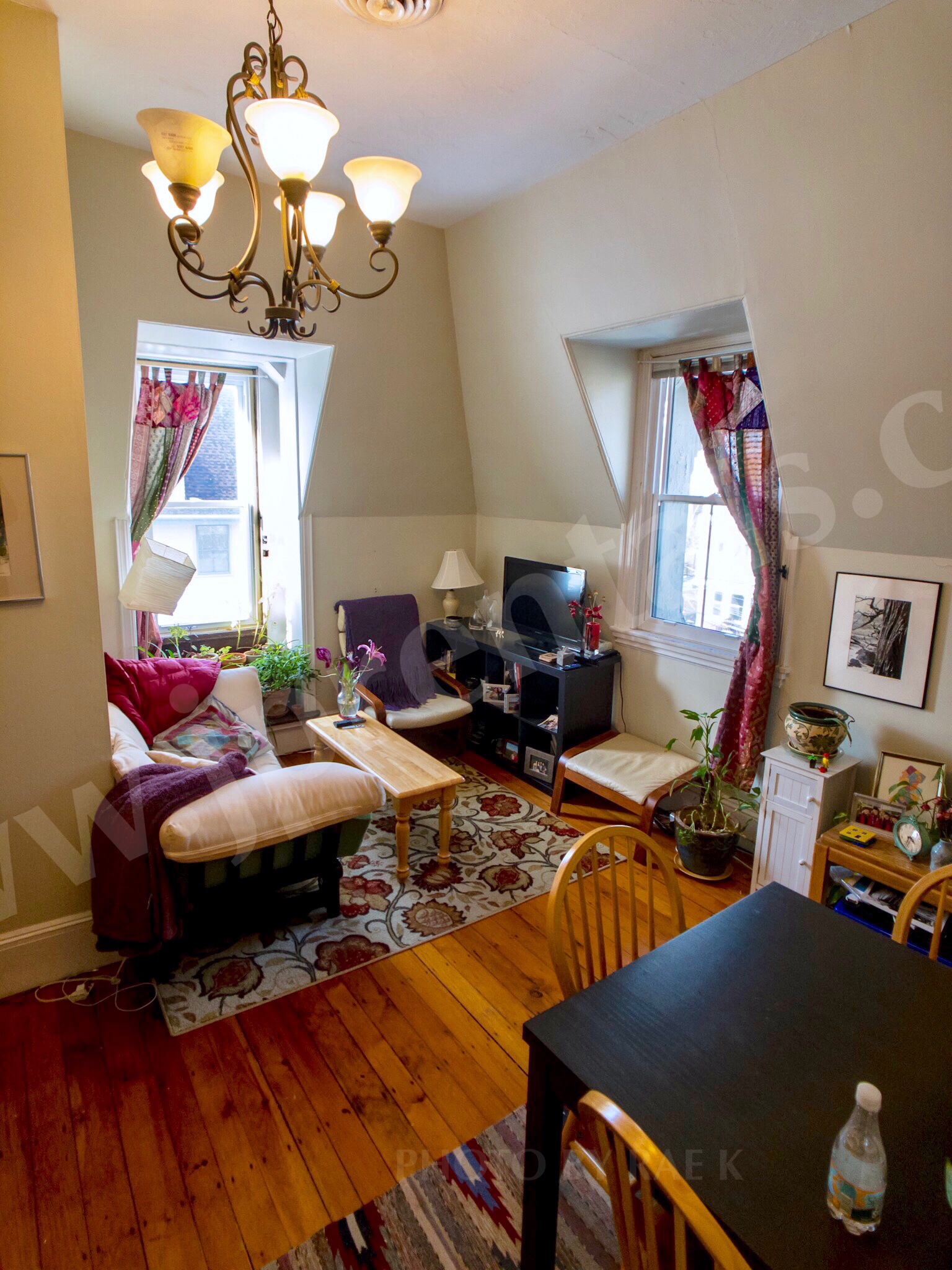 271 Chestnut Ave, Jamaica Plain