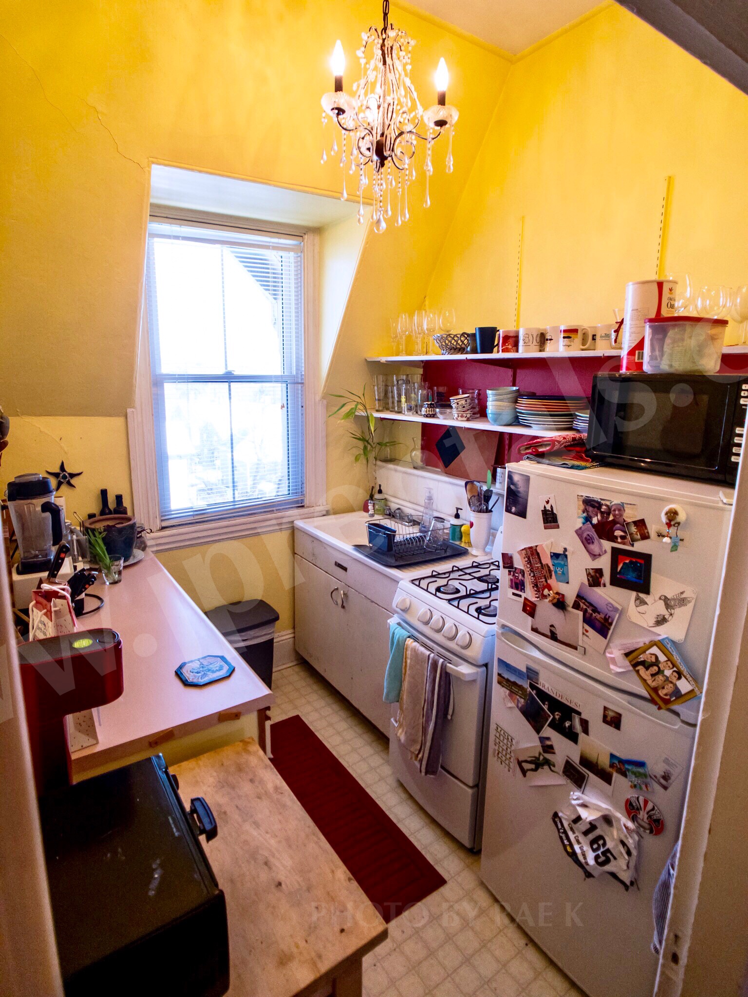 271 Chestnut Ave, Jamaica Plain