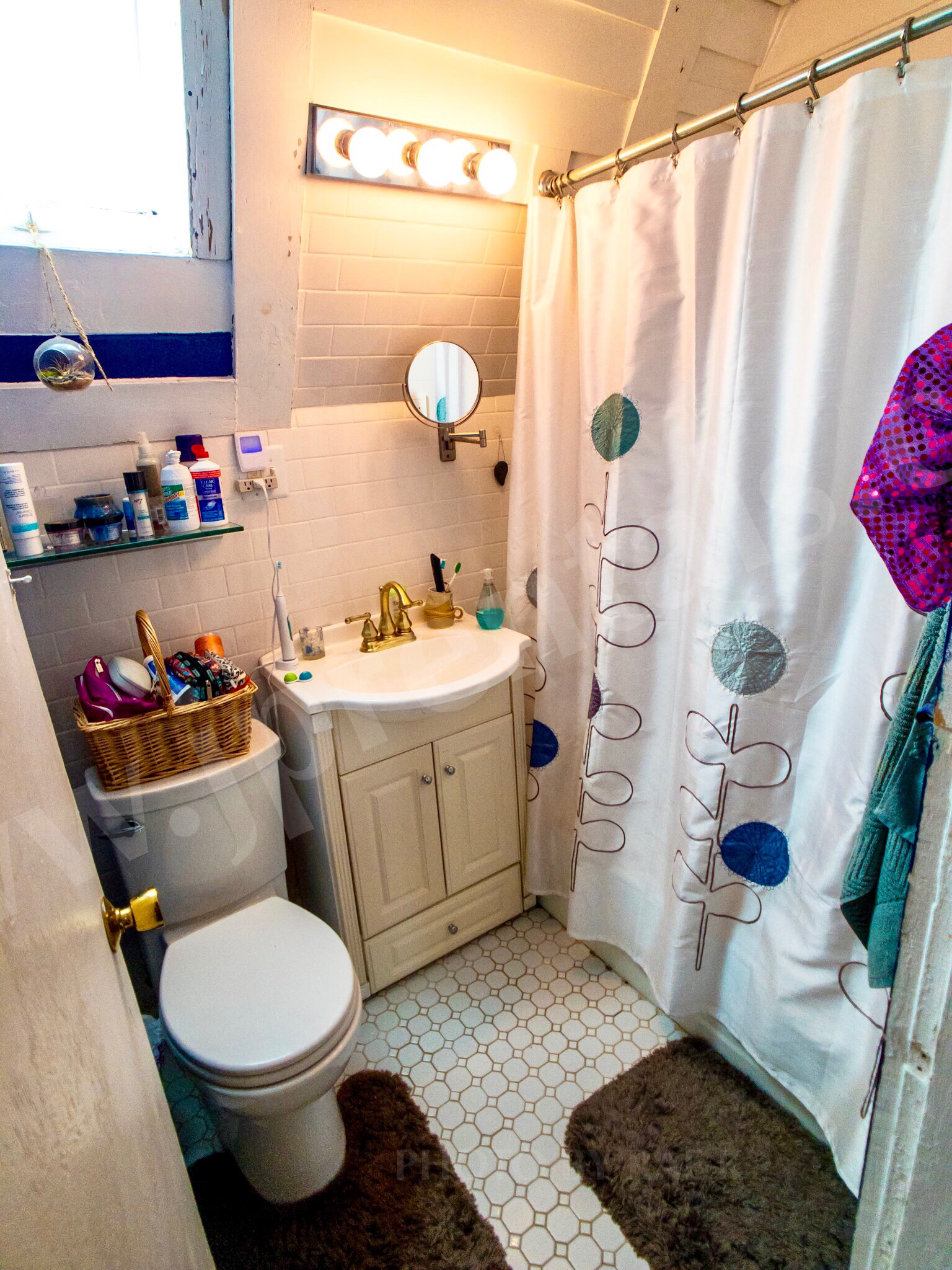 271 Chestnut Ave, Jamaica Plain