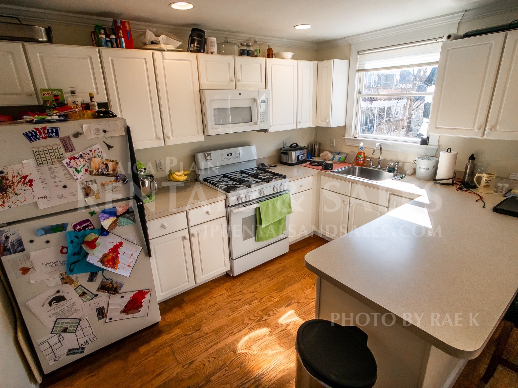 3 bed, 2.5 bath apartment for rent at 13 Parley Ave Unit A CO, Jamaica Plain — photo 3 of 15