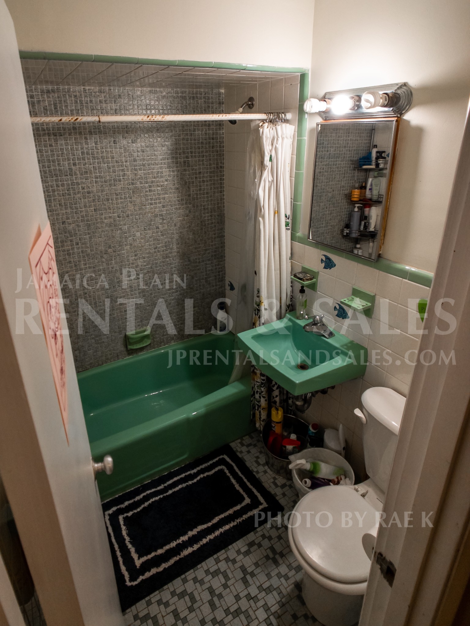 2 bed, 1 bath apartment for rent at 594 Centre Unit 8 CO, Jamaica Plain — photo 5 of 9