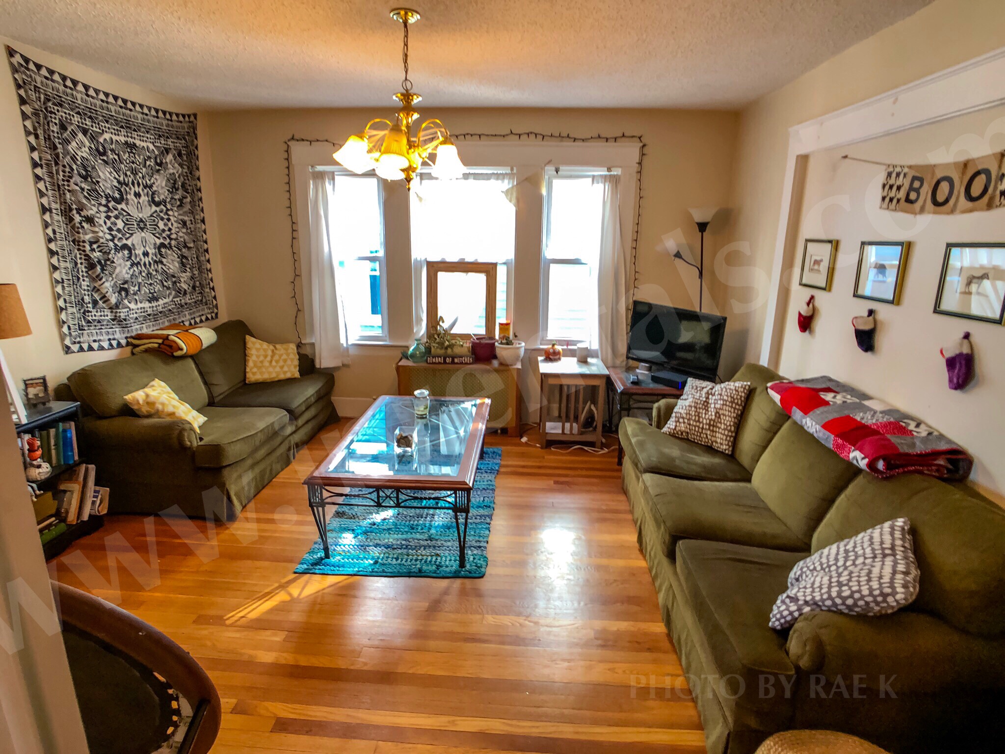 151 Forest Hills St, Jamaica Plain