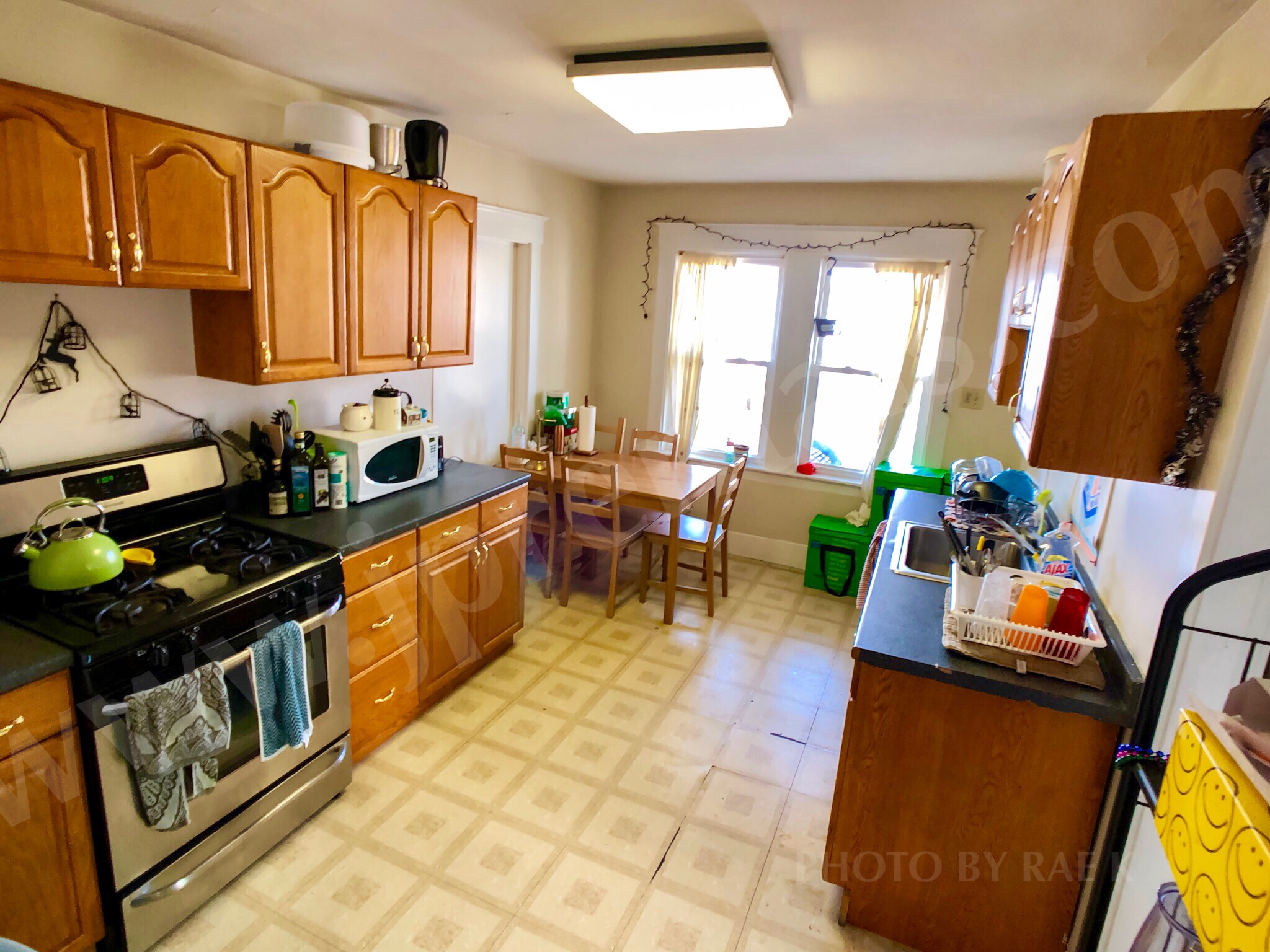 151 Forest Hills St, Jamaica Plain