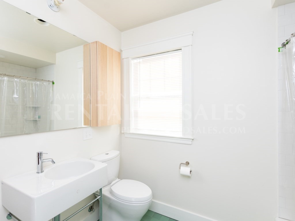 2 bed, 1 bath apartment for rent at 996 South St Unit 1 CO, Roslindale — photo 8 of 11