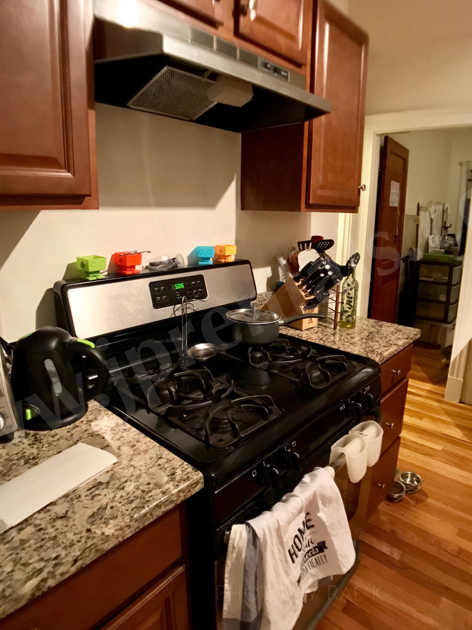 20 Saint Peter St, Jamaica Plain