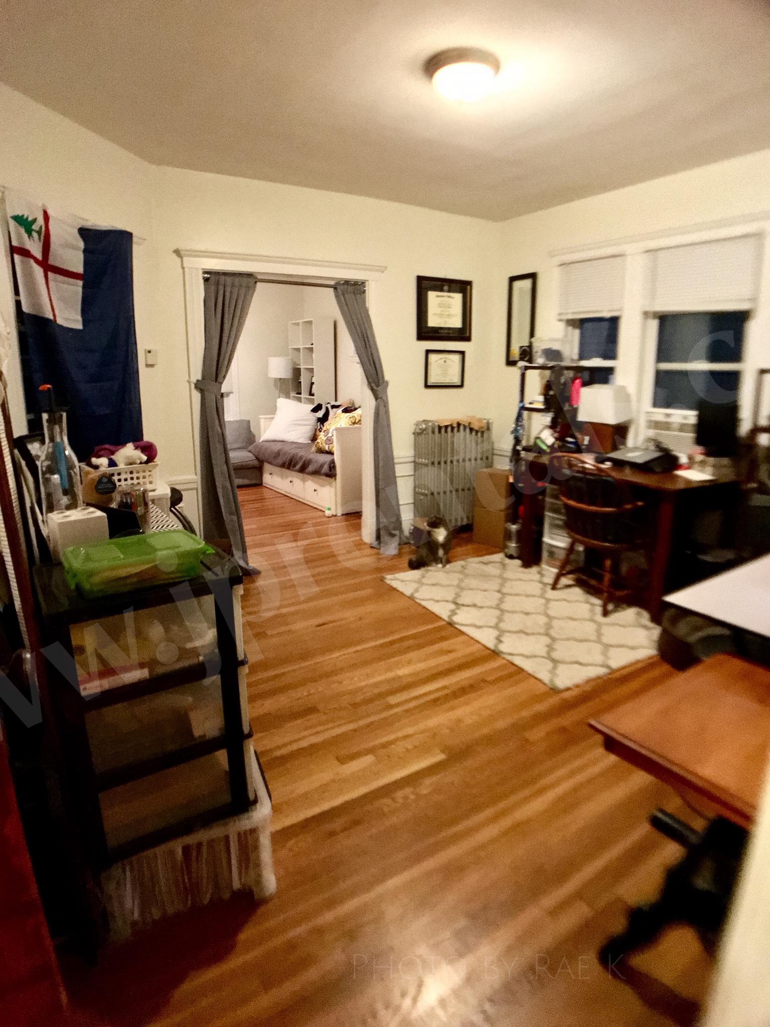 20 Saint Peter St, Jamaica Plain