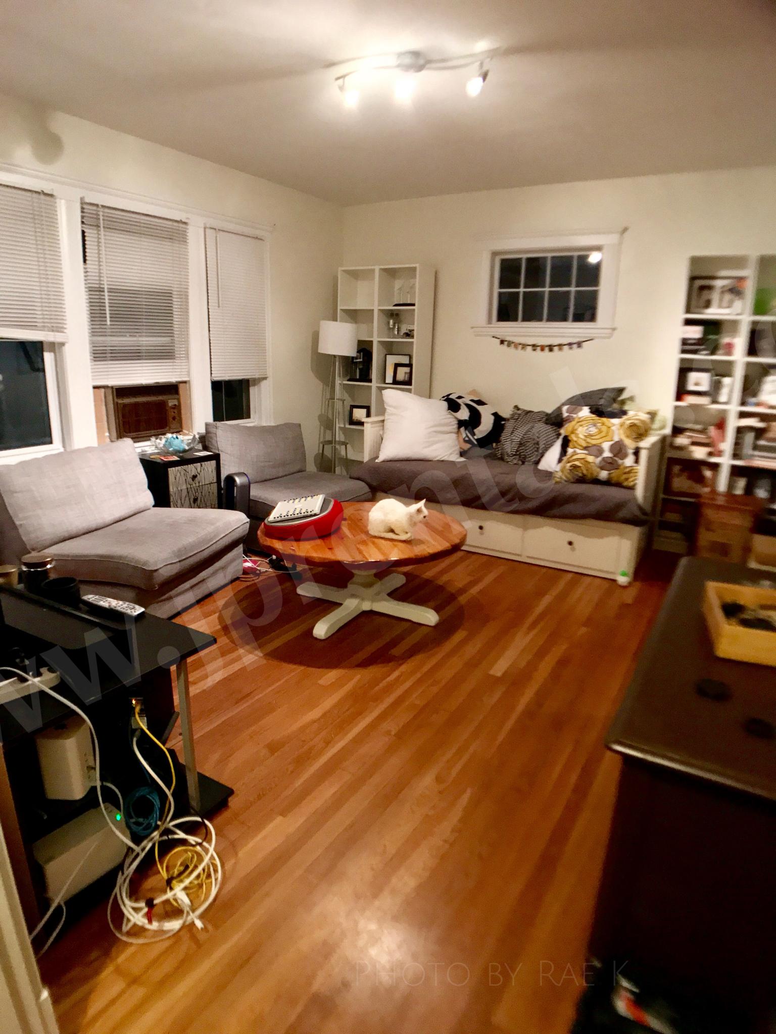 20 Saint Peter St, Jamaica Plain