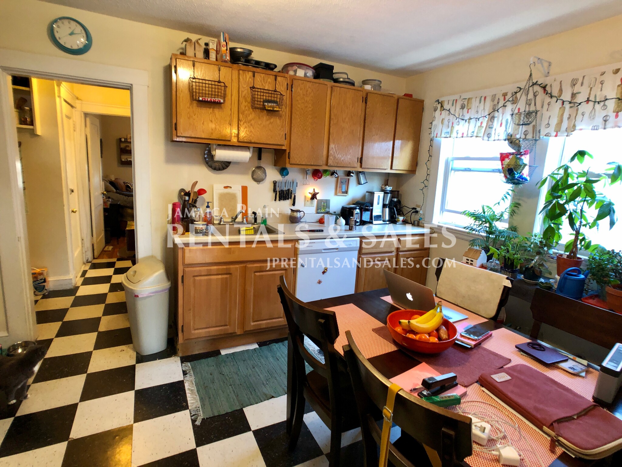 11 Segel St, Jamaica Plain