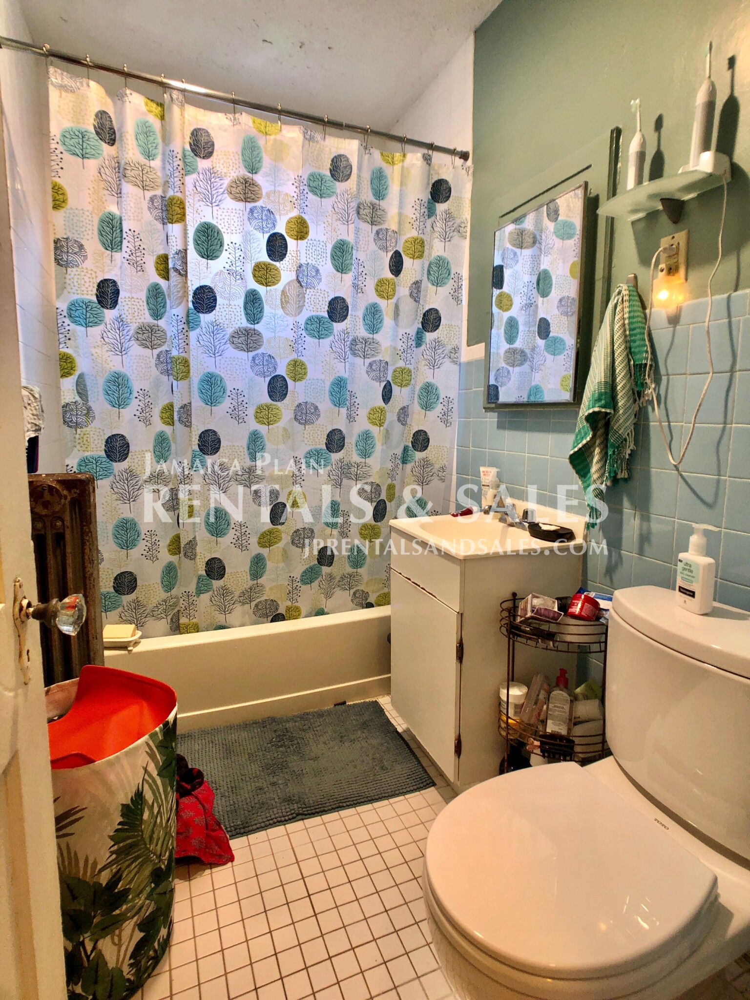 11 Segel St, Jamaica Plain