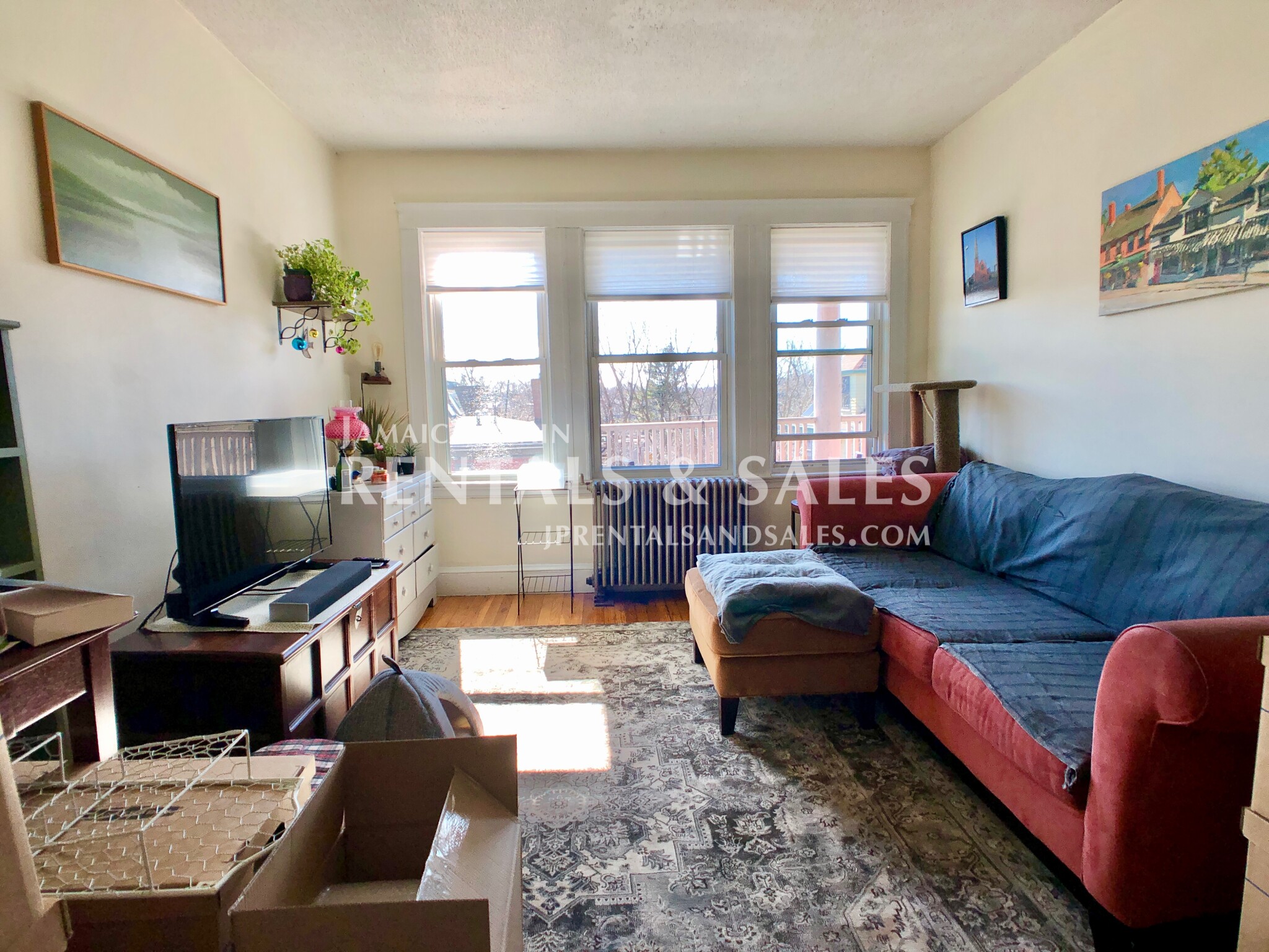 11 Segel St, Jamaica Plain