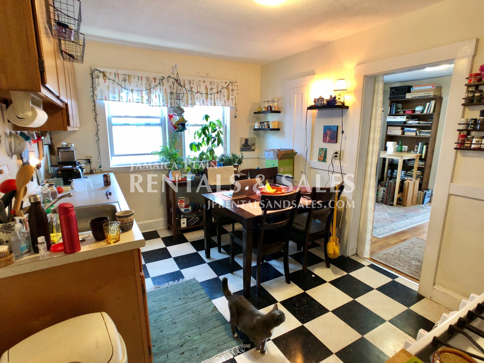 11 Segel St, Jamaica Plain