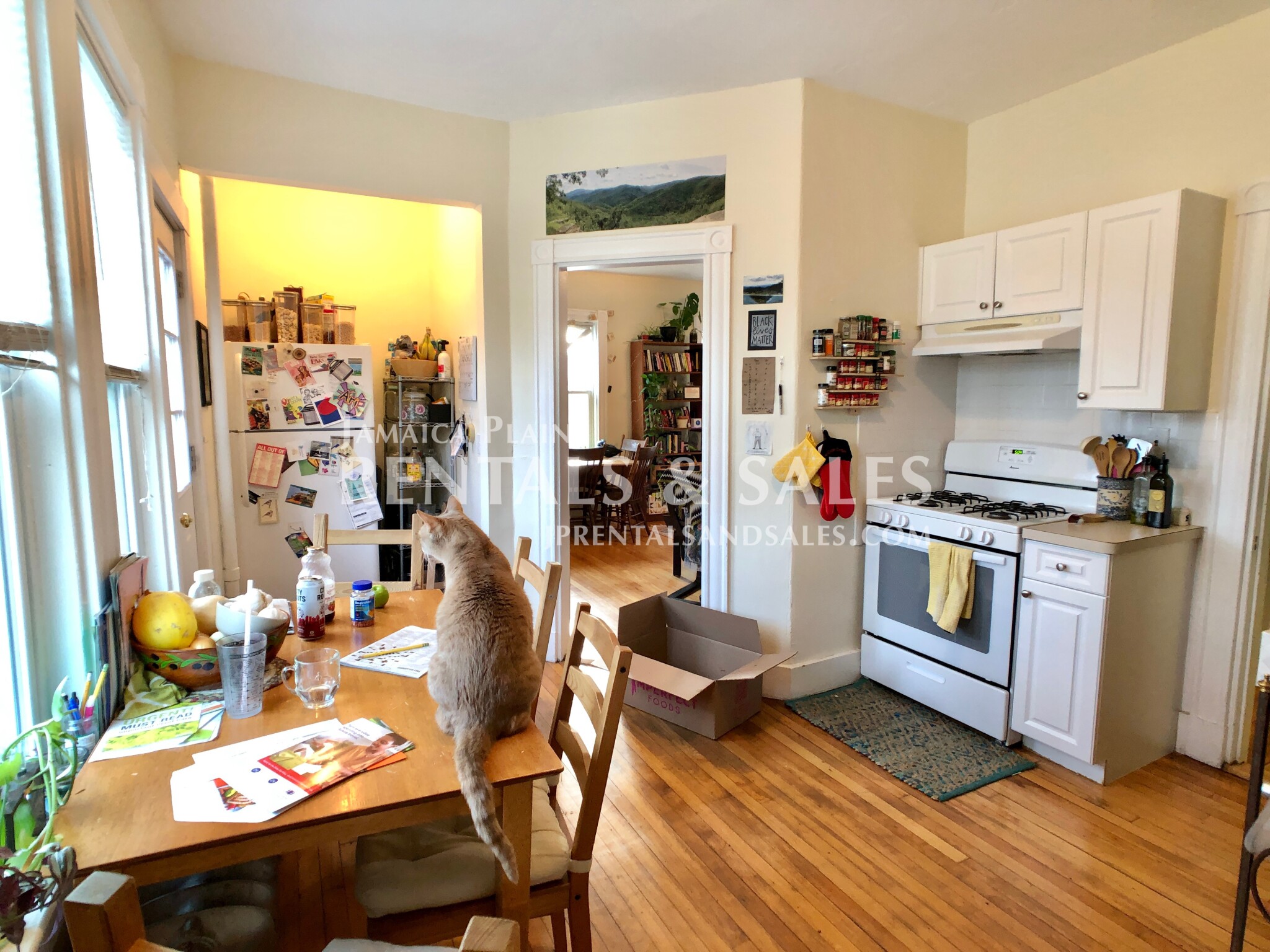 12 Agassiz Park, Jamaica Plain