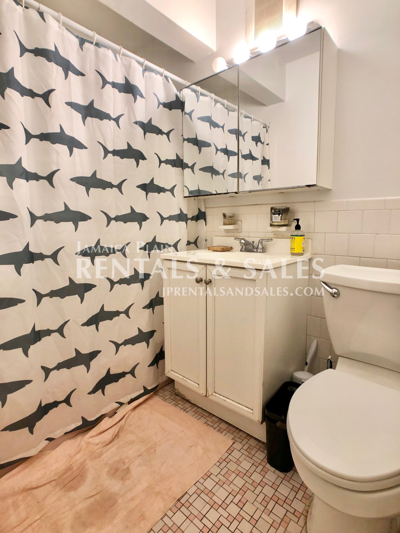 804 Centre St, Jamaica Plain