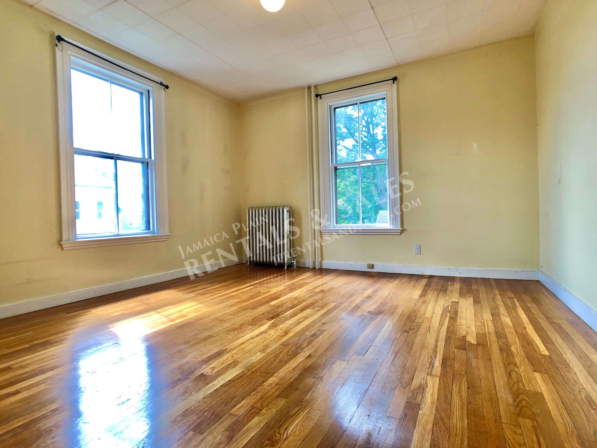 23 Clive St, Jamaica Plain