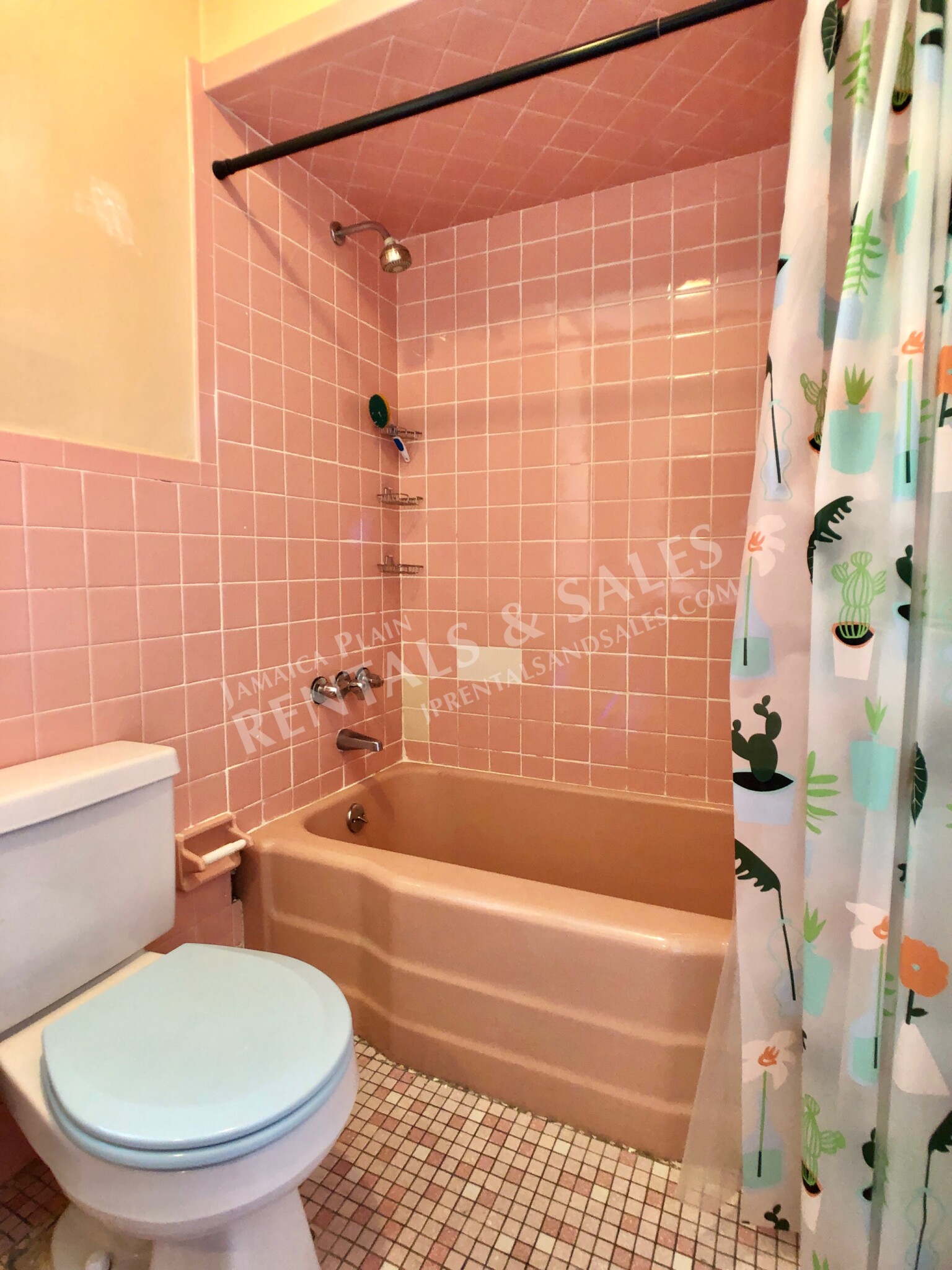 23 Clive St, Jamaica Plain