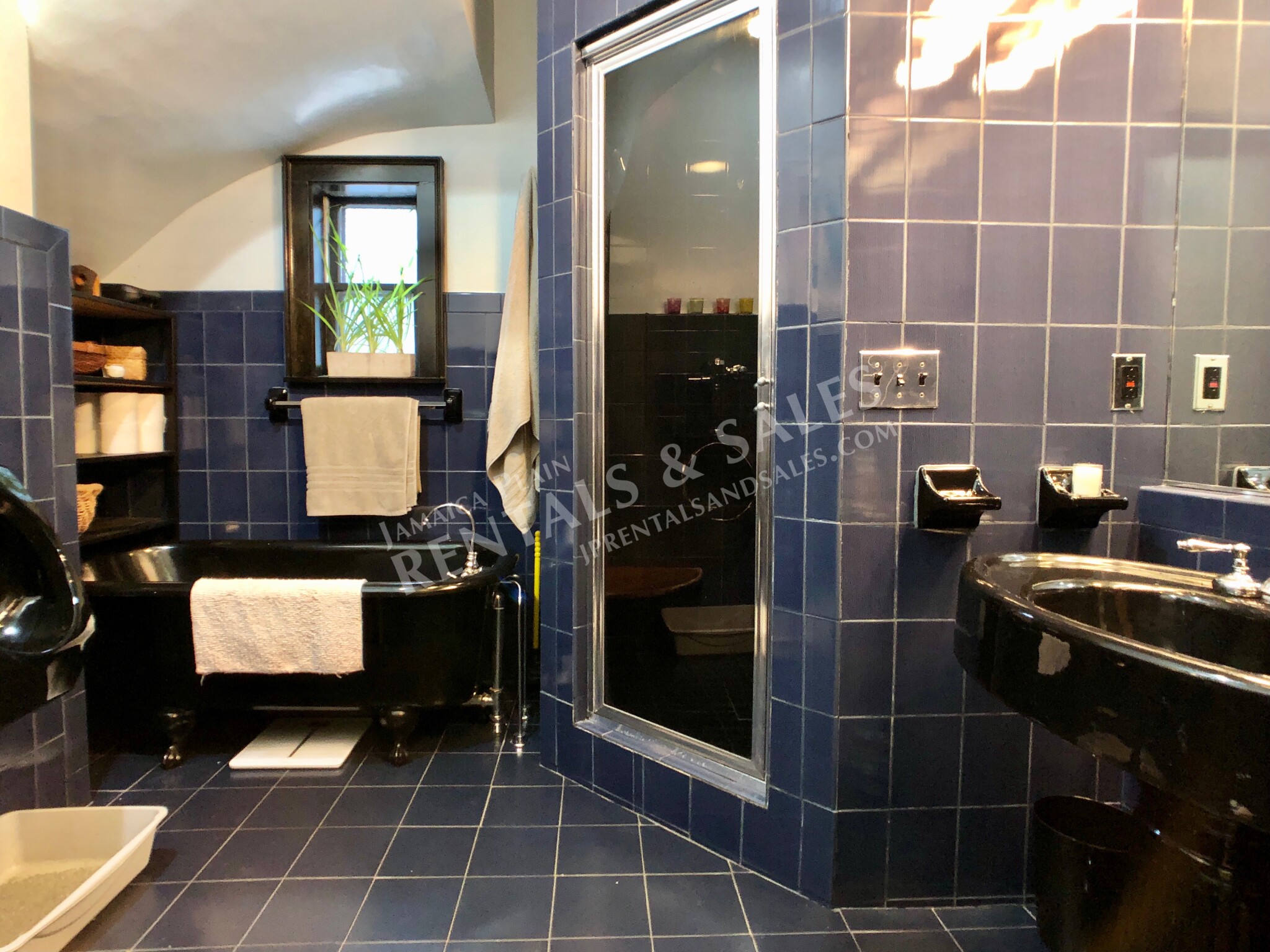 2 bed, 1 bath apartment for rent at 102 Paul Gore St Unit 1, Jamaica Plain — photo 20 of 21