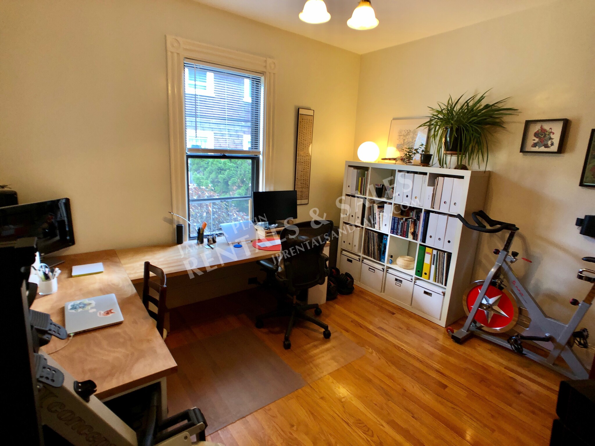 2 bed, 1 bath apartment for rent at 102 Paul Gore St Unit 1, Jamaica Plain — photo 16 of 21