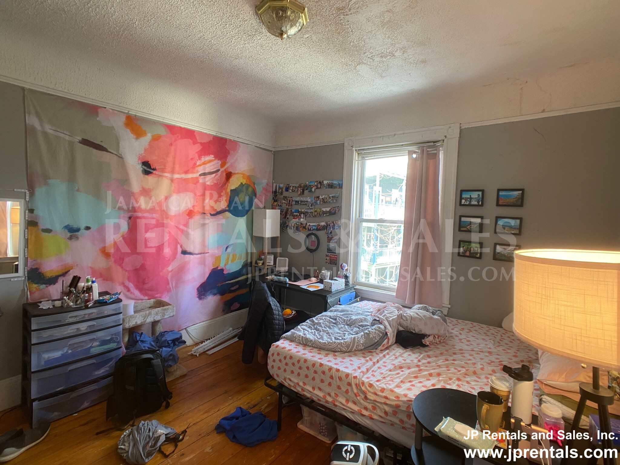 50 Green St, Jamaica Plain