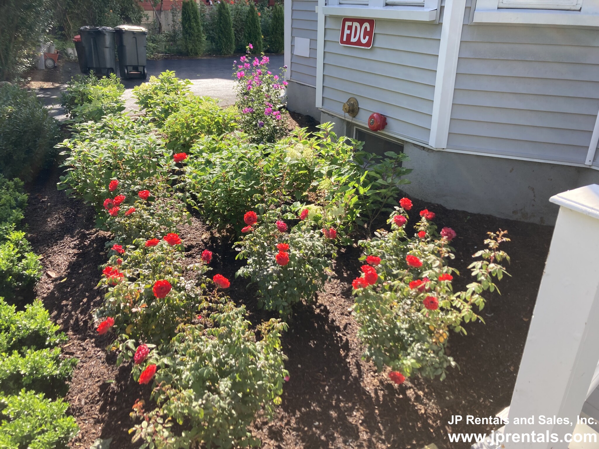 34 Evergreen St, Jamaica Plain