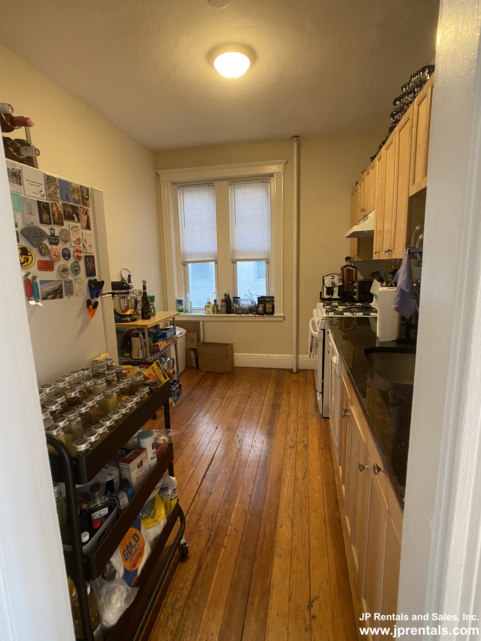 339 Huntington Ave, Jamaica Plain