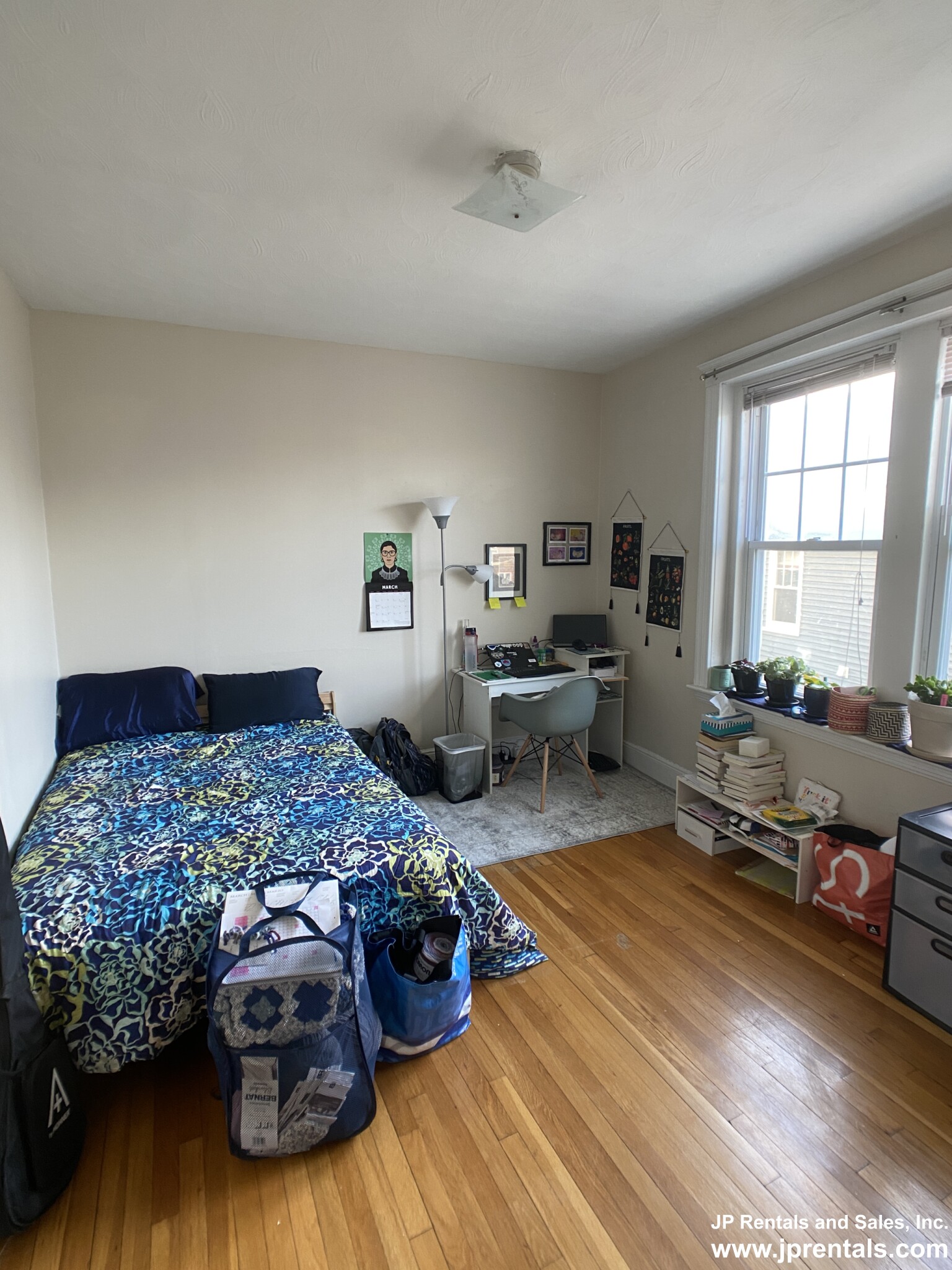 339 Huntington Ave, Jamaica Plain