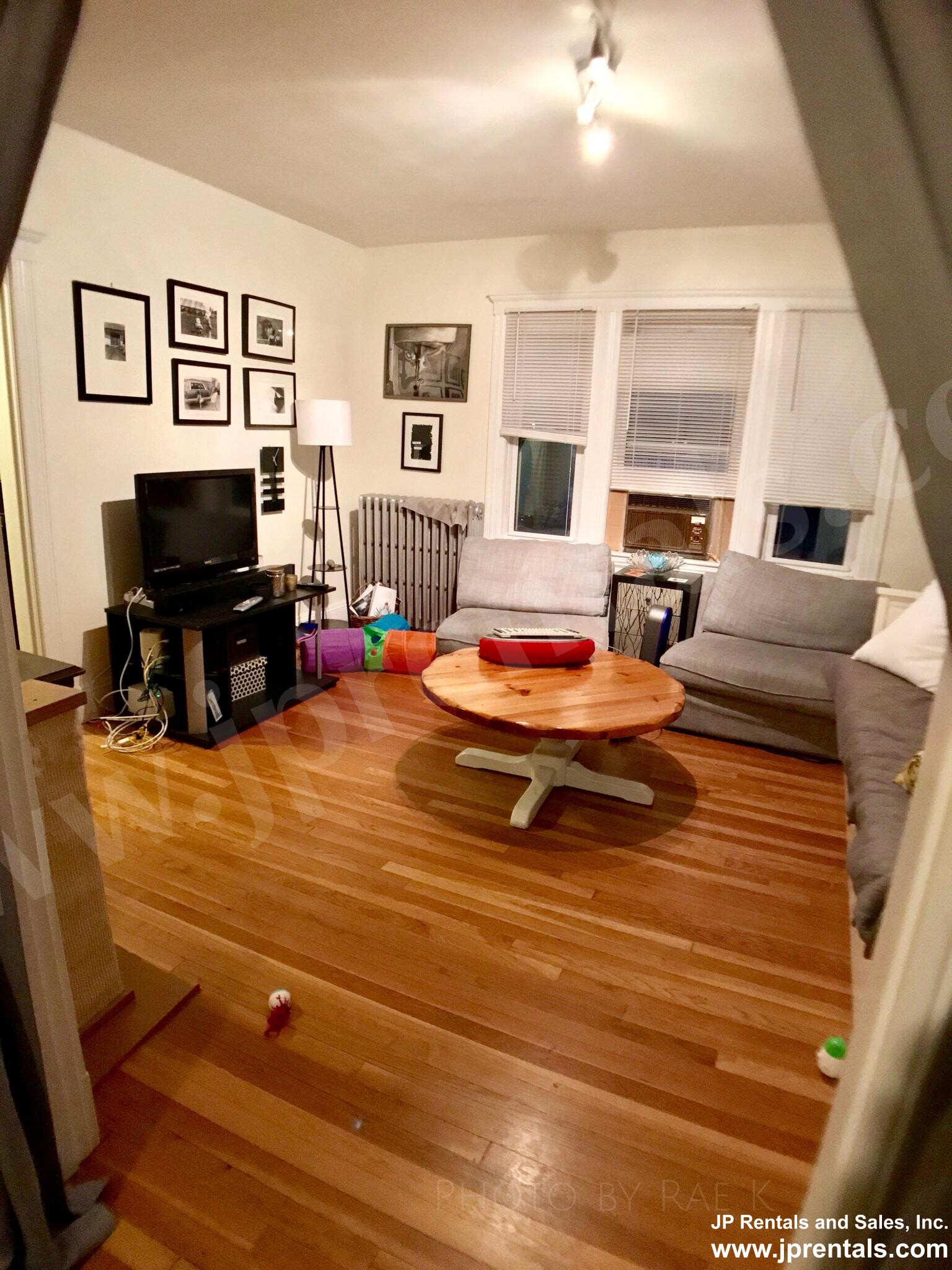 20 Saint Peter St, Jamaica Plain