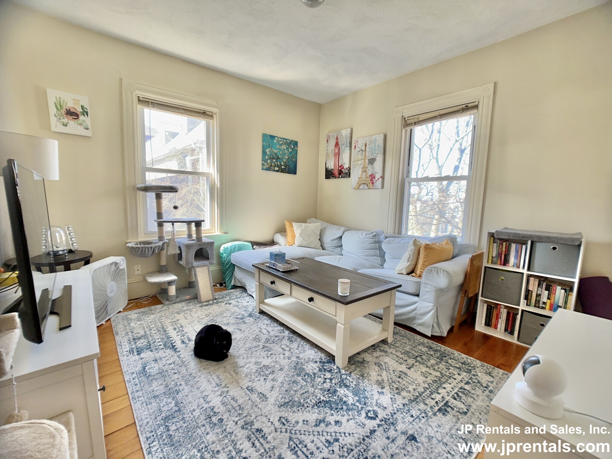 40.5 Paul Gore, Jamaica Plain