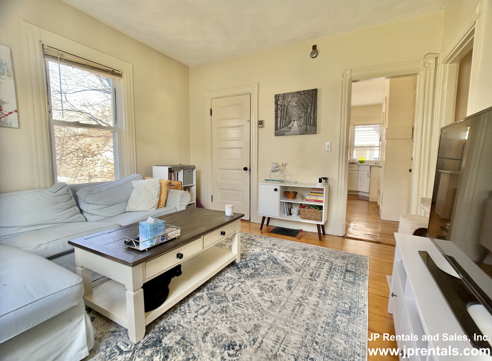 40.5 Paul Gore, Jamaica Plain